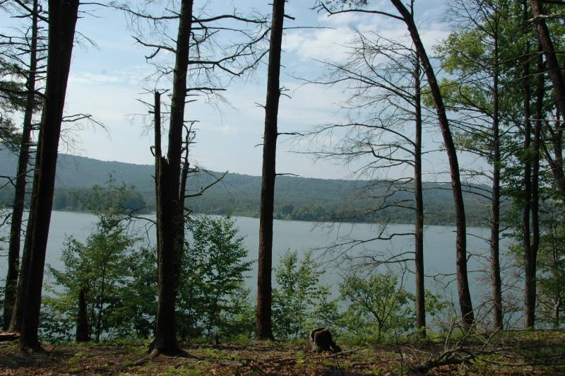 Scenery_008.jpg