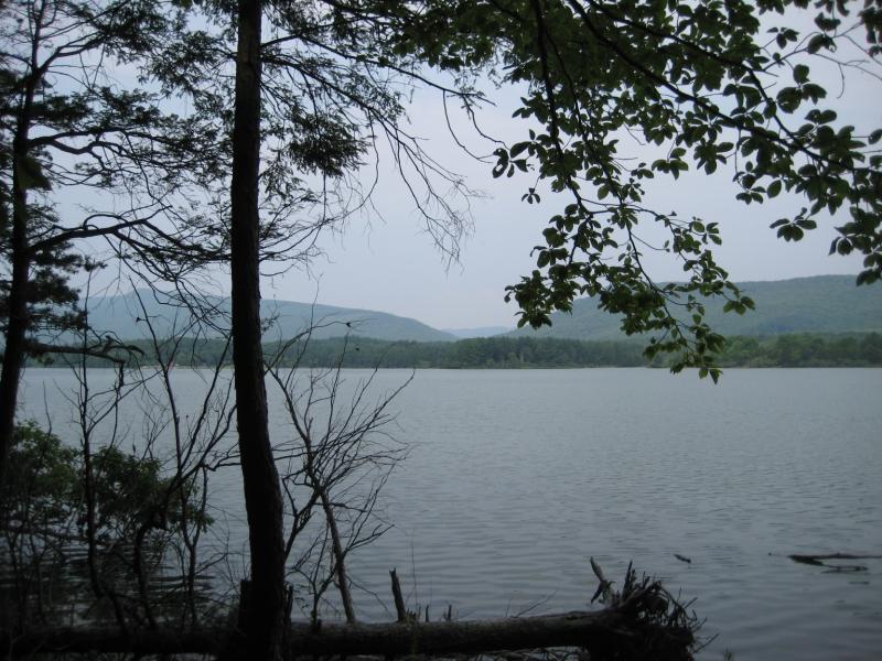 Scenery_015.jpg