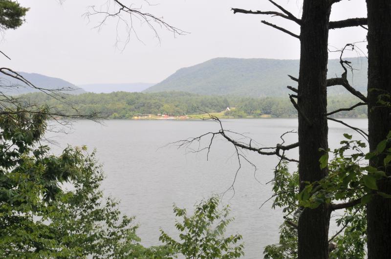Scenery_019.jpg
