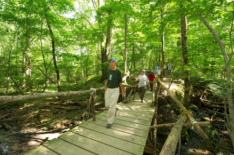 06-24_Conservation_Project_010.jpg