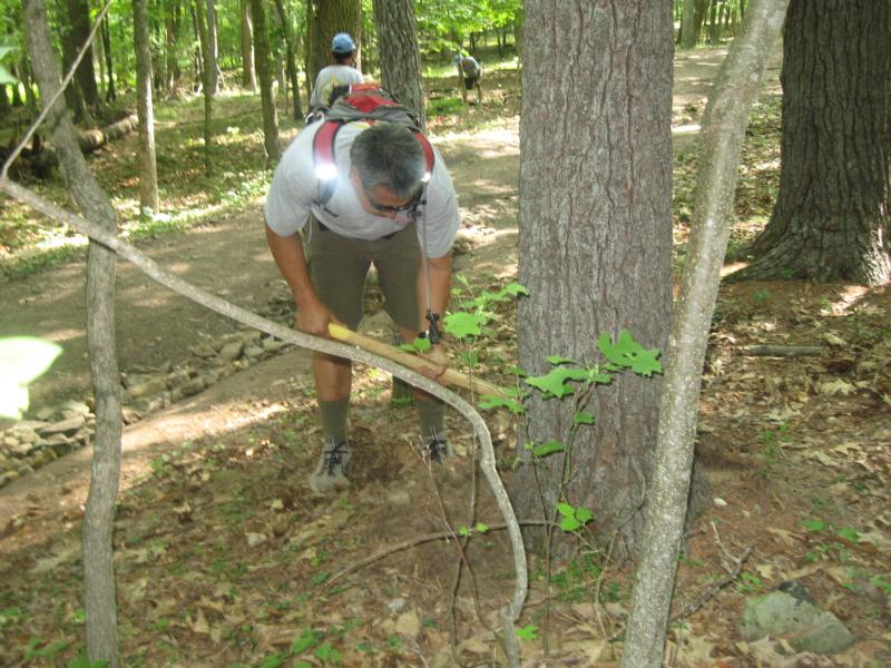 06-24_Conservation_Project_147.jpg